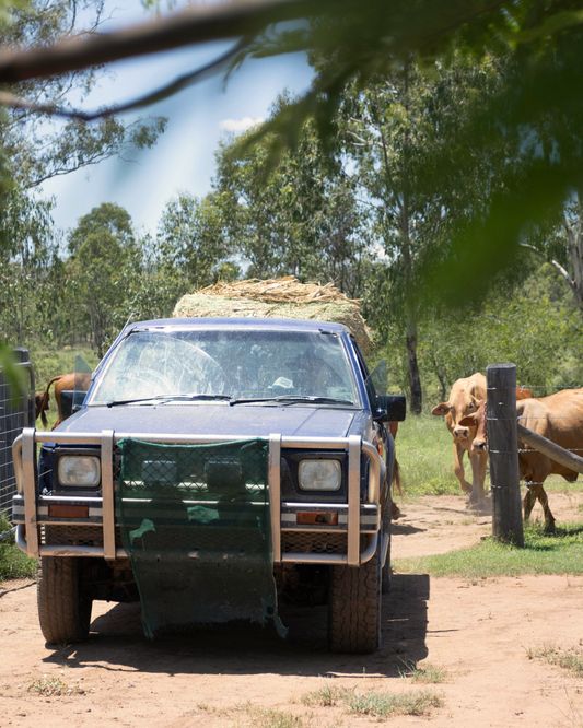 Grass‑Fed Beef Delivery in South East Queensland: Where We Go & How It Works